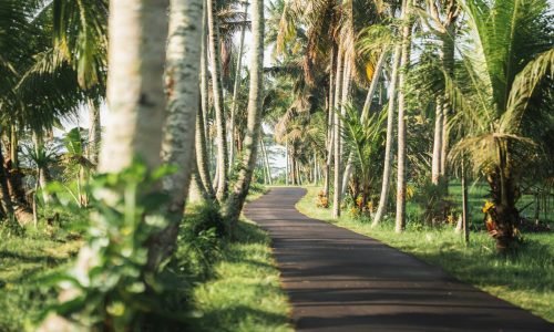 spenser-sembrat-wOUDjyfiz6M-unsplash